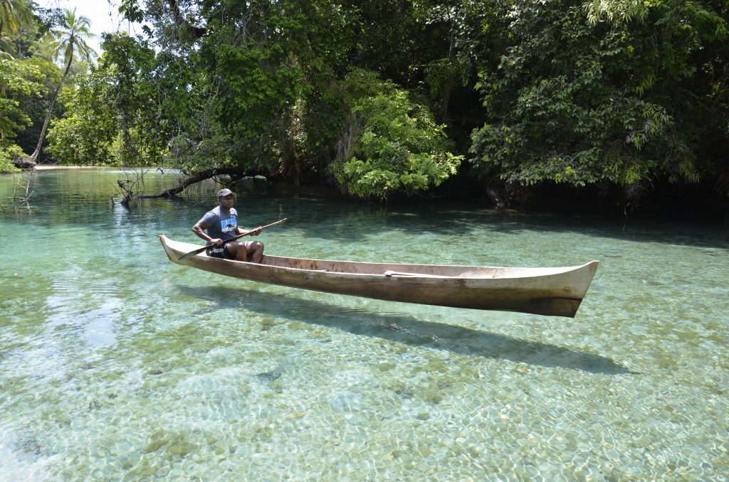 Guide canoes through mangroves
