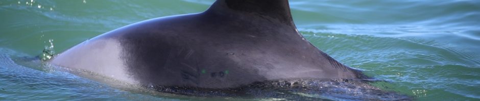 20180803_60D_IMG_0216_WVB Nanuuq (SE)