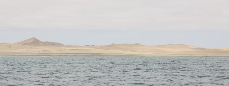 The desert meets the sea, a rare and wonderful sight. Photographer: Jaz Henry
