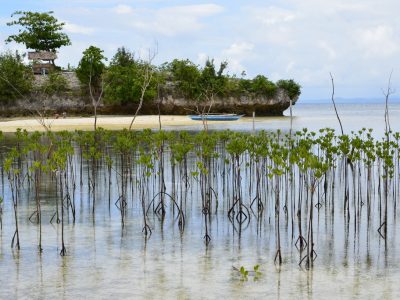 Malapascua Island, Philippines. (c) Anna Schleimer