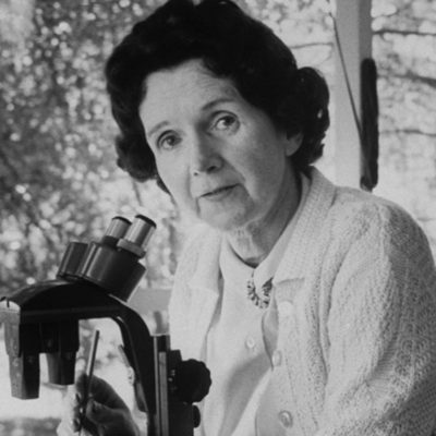Rachel Carson in 1962. (Photographer: Alfred Eisenstaedt; National Portrait Gallery, Smithsonian Institution)