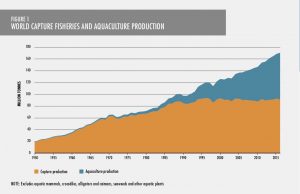 Figure showing world capture from fisheries and aquaculture production