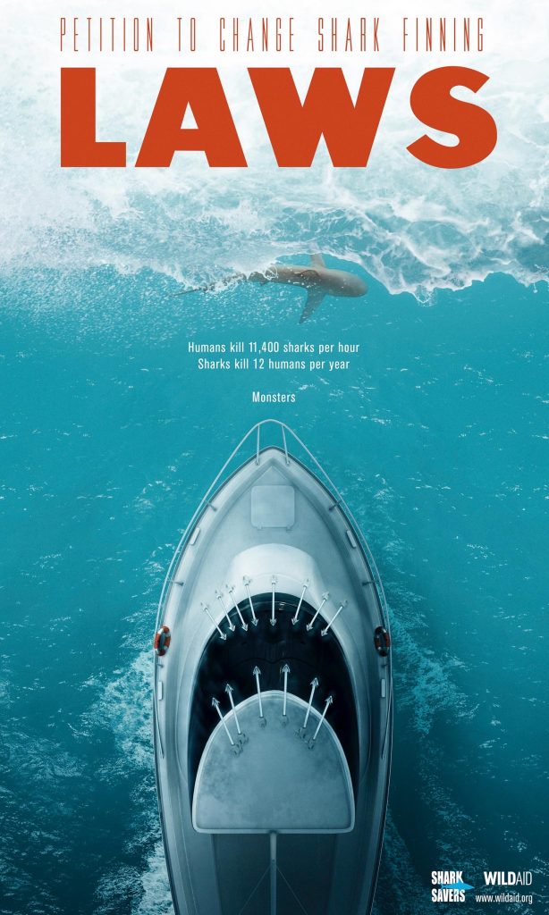 Poster to change shark finning laws. Explains that humans kill many more sharks than sharks do humans.